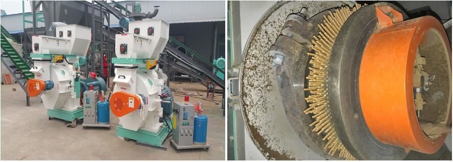 pellet mill 1