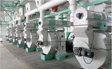 2000-5000 кг / ч Автоматическая линия по производству древесных пеллет из сена, риса, шелухи, арахисовой скорлупы, травы, опилок