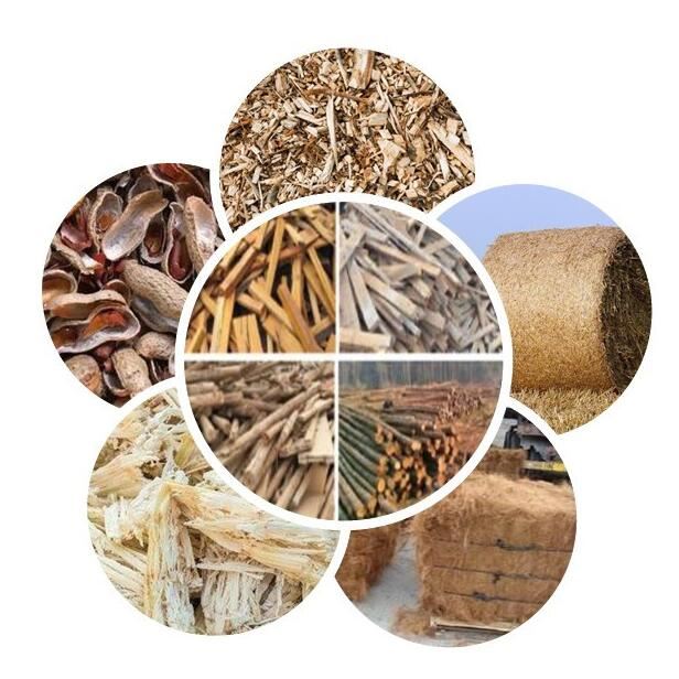 1-3T/H Automatic CE Certificate EFB Pellet Mill Machine